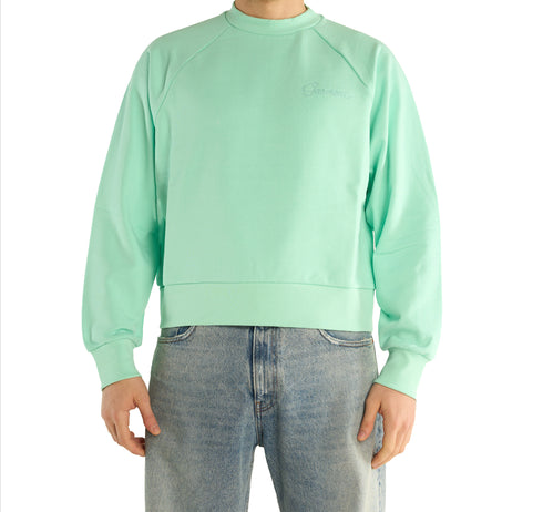 Tiffany Raglan Crewneck Sweater